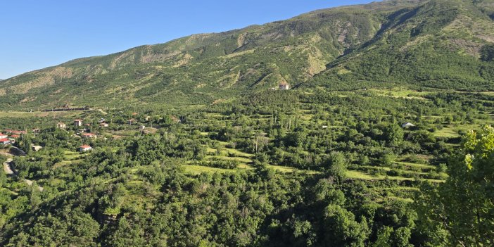 Şırnak'ta ormanlara girişler 30 Eylül'e kadar yasa