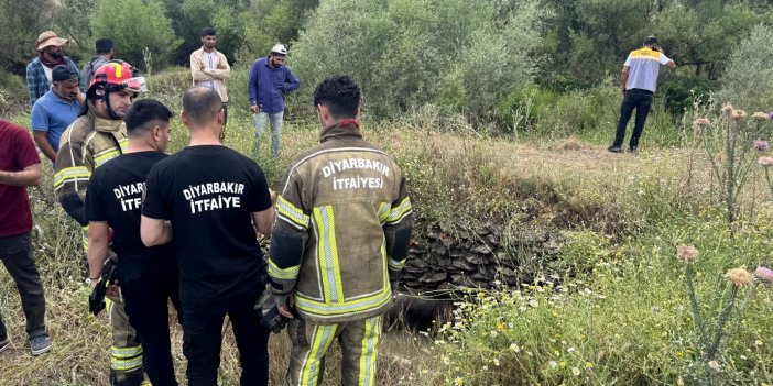 Su kuyusuna düşen yaban domuzu kurtarıldı