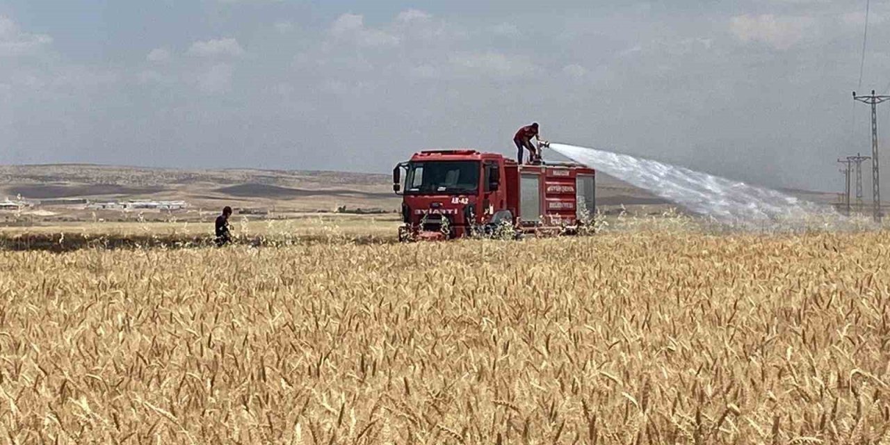 Mardin’de yaklaşık 300 dönüm ekili alan yandı