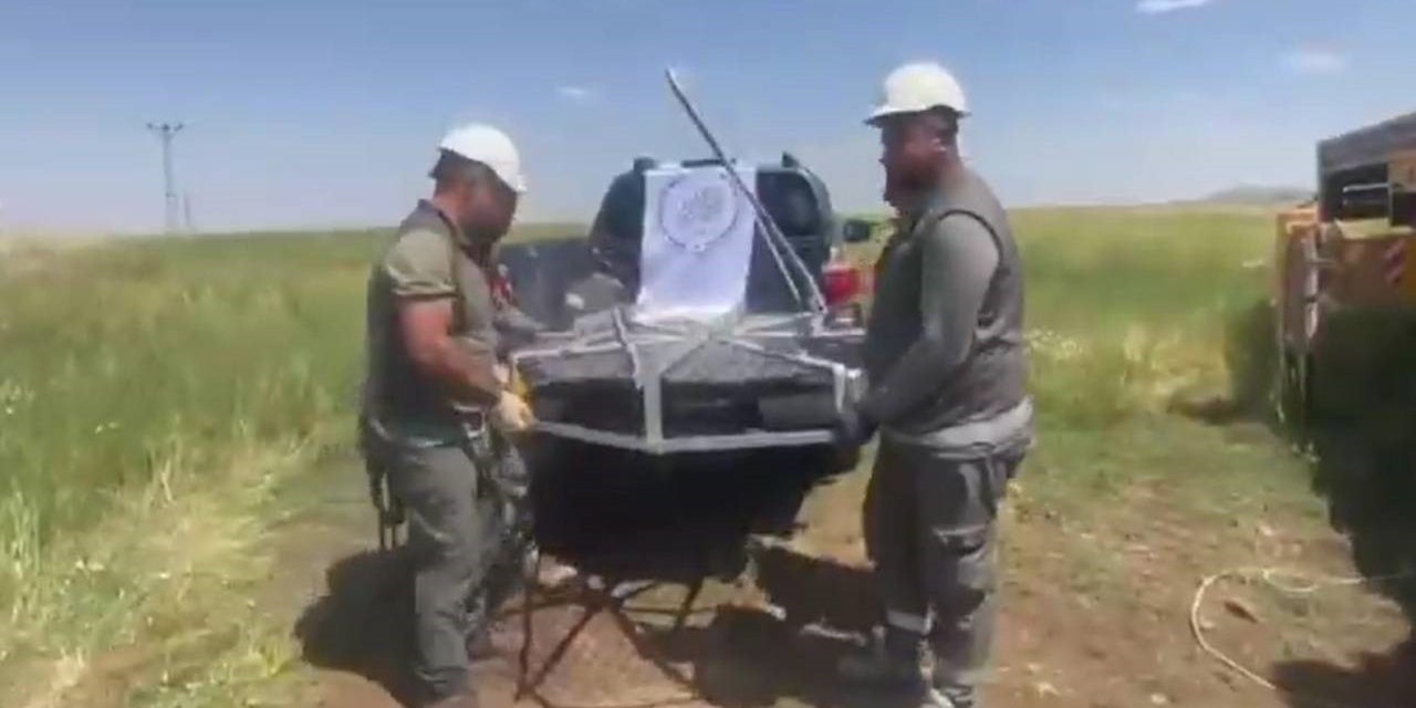 Şırnak’ta leyleklere güvenli yuva