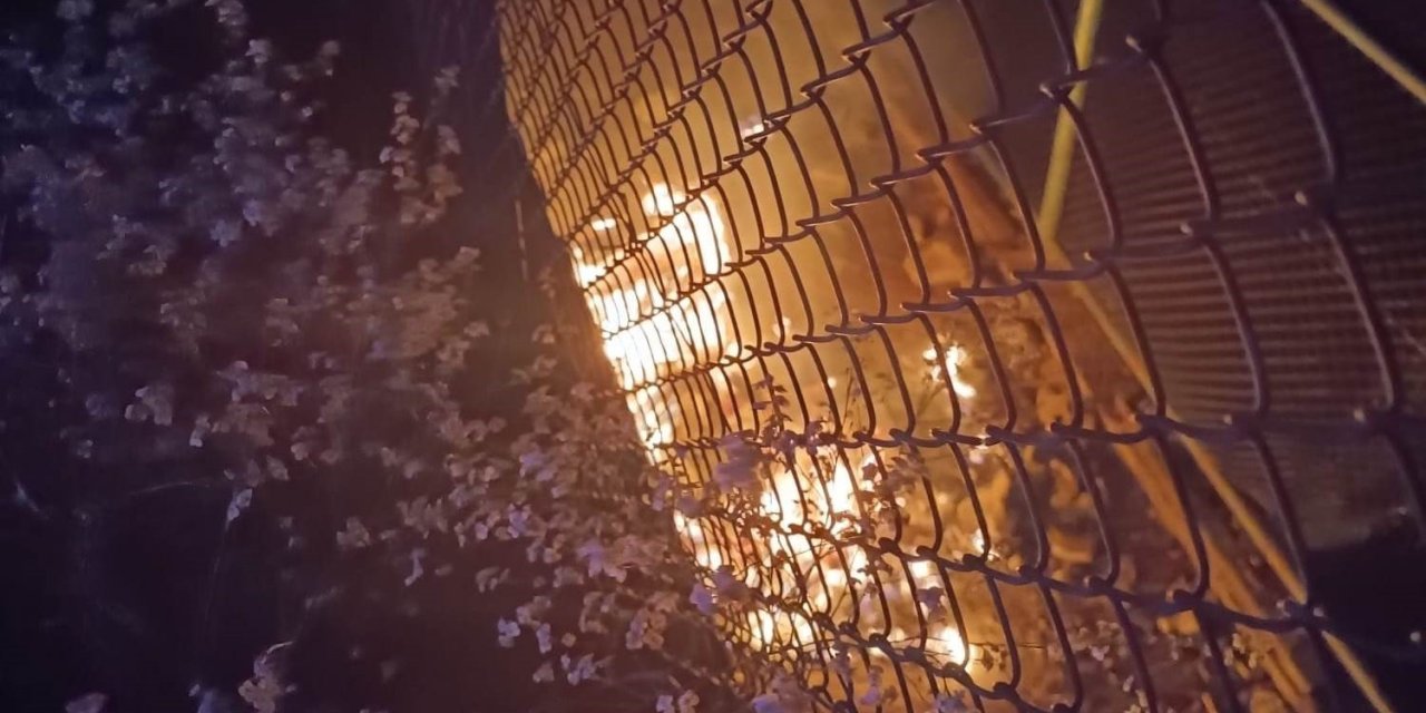 Van'ın Edremit ilçesinde anız yangını