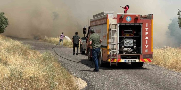 Eğil'de ekili arazide yangın: Yüzlerce dönüm buğday tarlası kül oldu