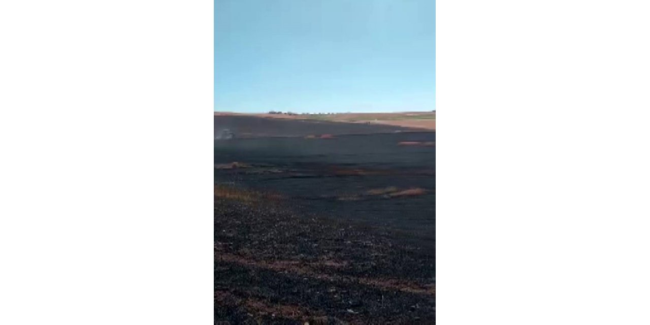 Silvan'da biçerdöverden çıkan kıvılcım 150 dönümlük alanı kül etti