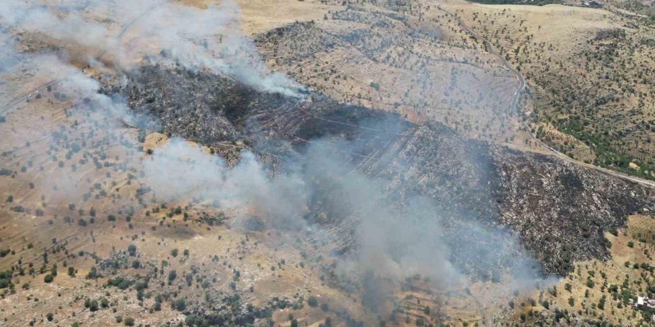 Mardin’de kırsalda çıkan yangın söndürüldü