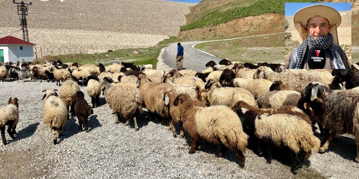 Hayvancılıkla uğraşan Selahattin Diri: Çobanlar ve besiciler zorlu sezon geçiriyor