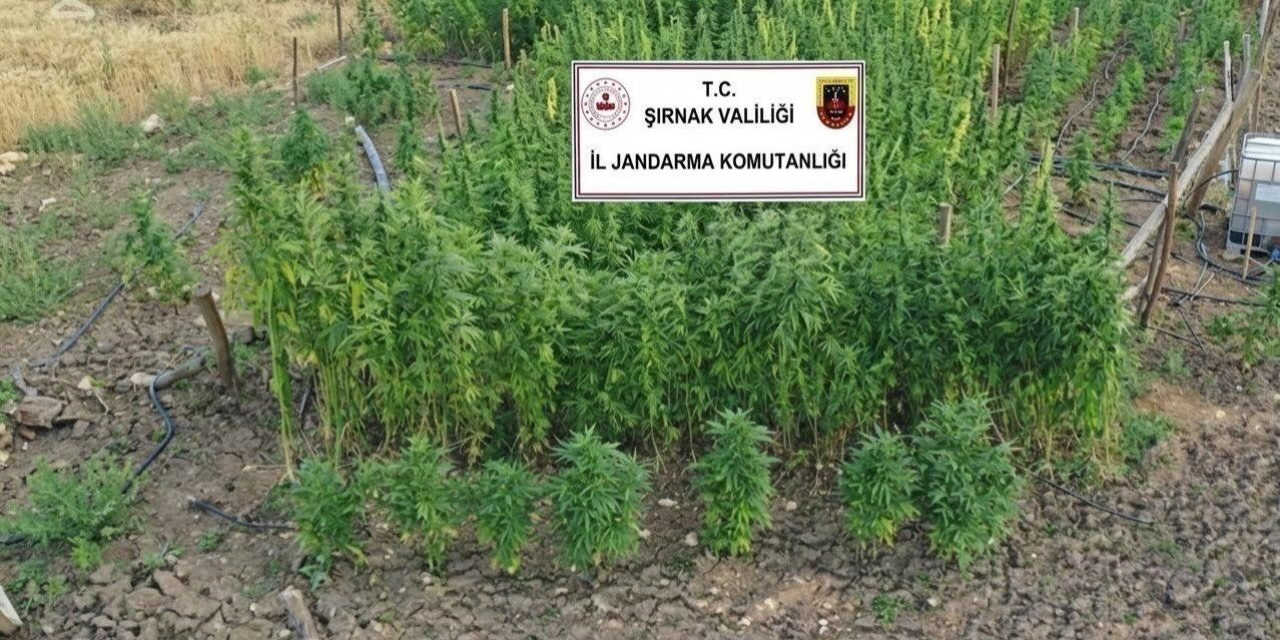 Şırnak’ta jandarmadan asayiş ve kaçakçılık operasyonu