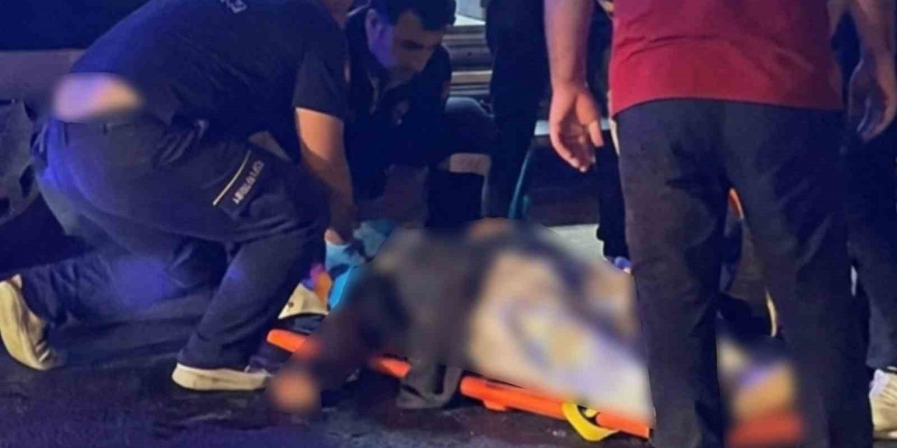 Mardin’de otomobilin çarptığı kadın öldü