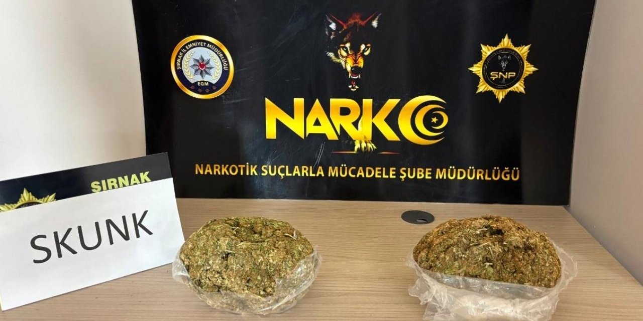 Şırnak’ta durdurulan araçta 1 kilogram skunk ele geçirildi
