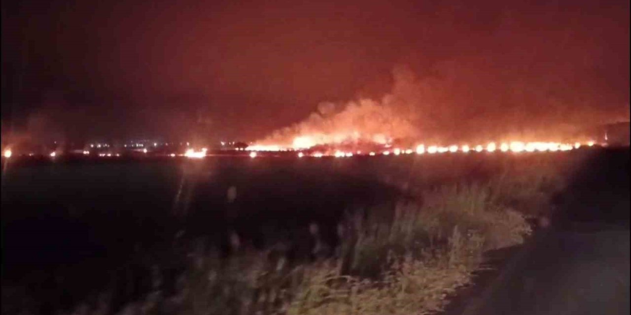 Şırnak’ta çıkan yangında 300 dönümlük alan kül oldu