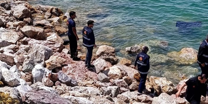 Otomobil Van Gölü’ne uçtu: Sürücü yaralı kurtarıldı