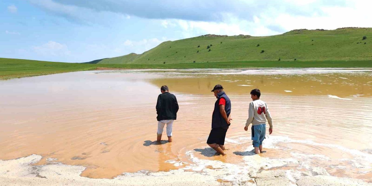 Bitlis'te sel tarım arazilerine zarar verdi