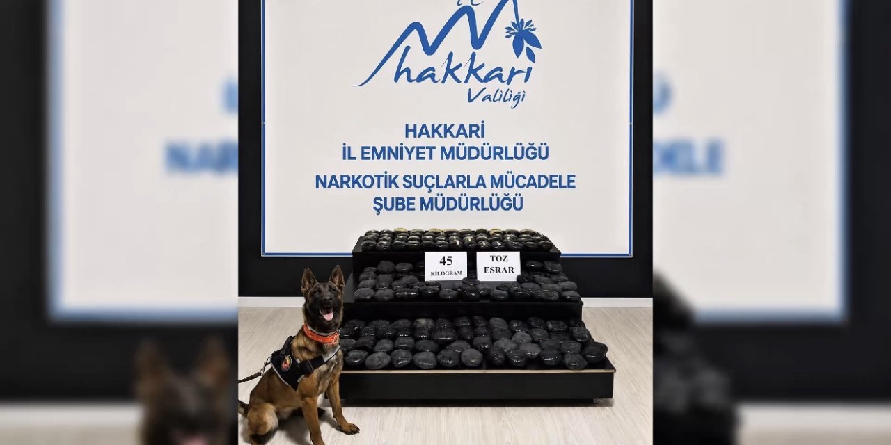 Yüksekova'da 45 kilo toz esrar ele geçirildi