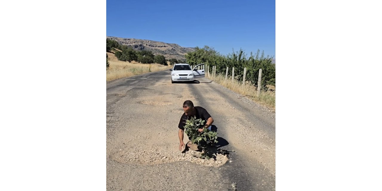 Çermik’te bozuk yollara tepki: Çukurlara ağaç dikildi