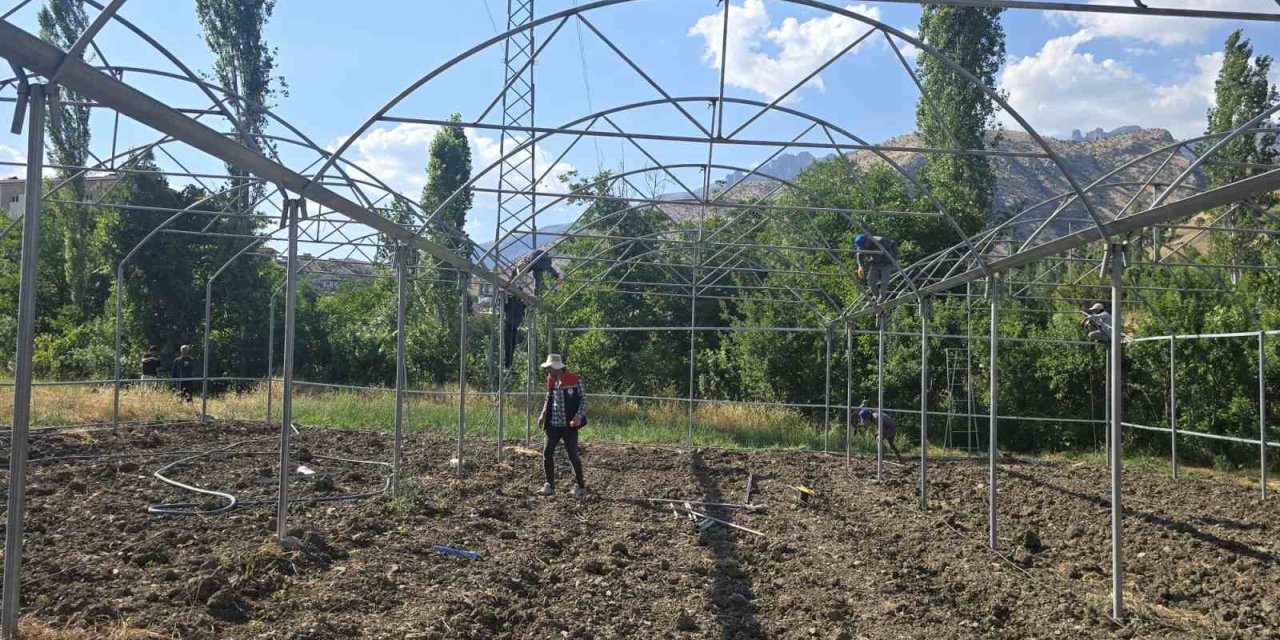 Şırnak'ta sera yatırımları sahada incelendi