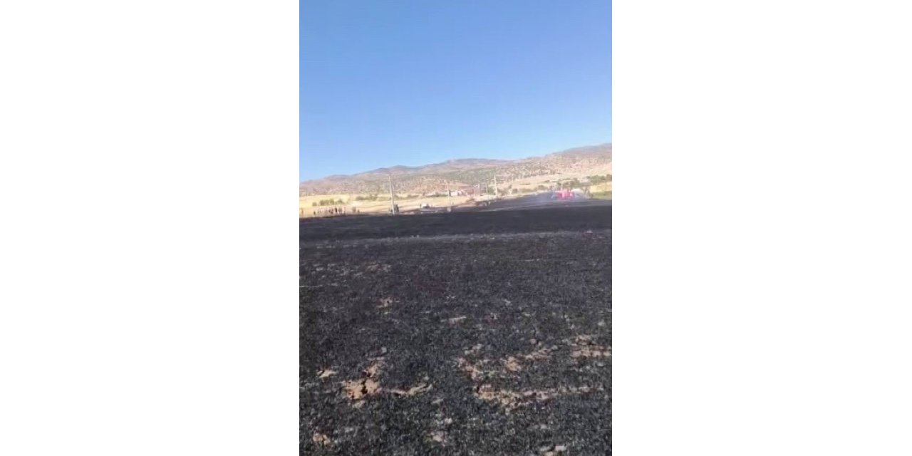 Diyarbakır’da 100 dönümlük alan kül oldu