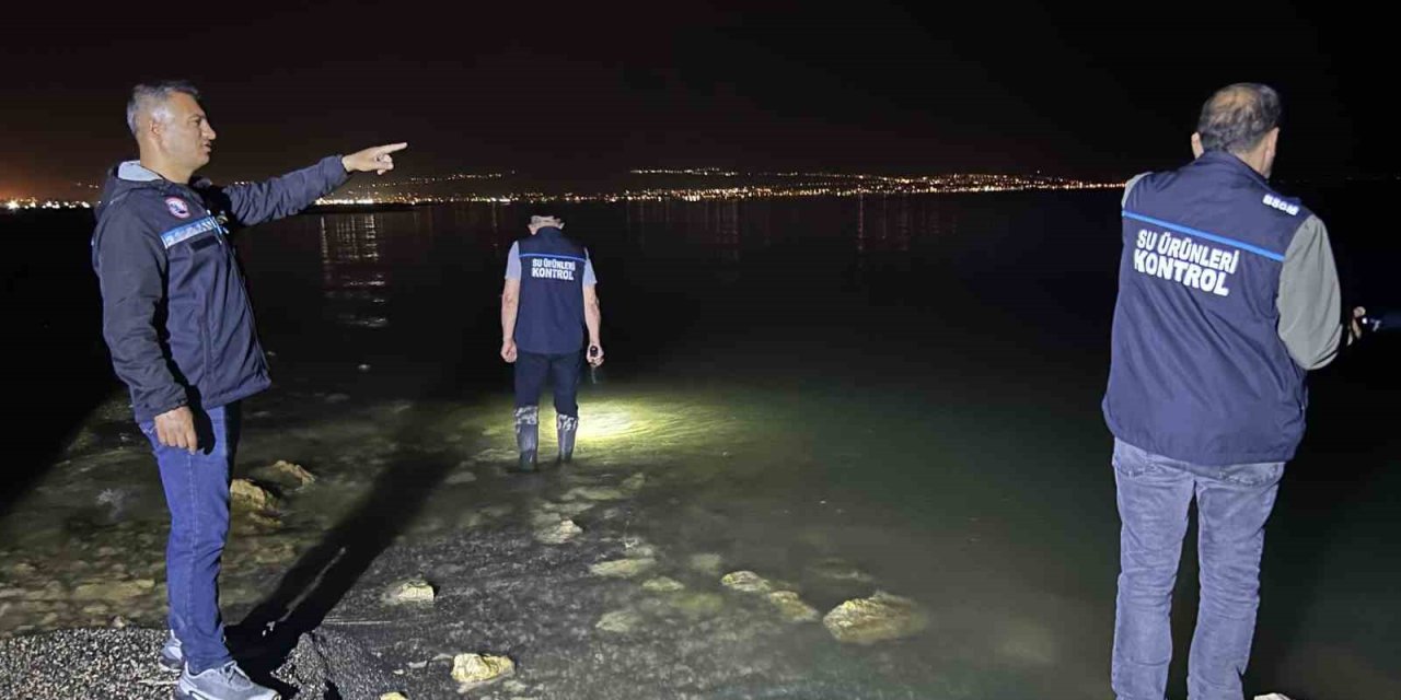 Milyonlarca inci kefali yavrusu Van Gölü’ne dönmeye başladı