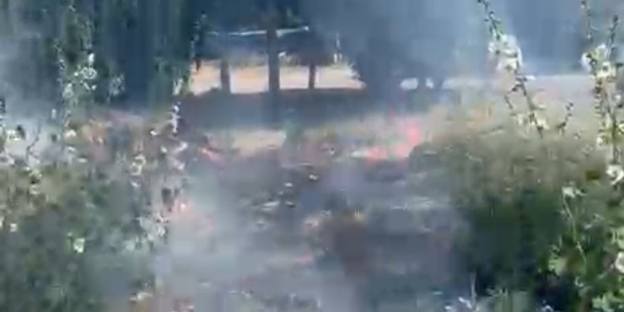 Yüksekova’da anız yangını