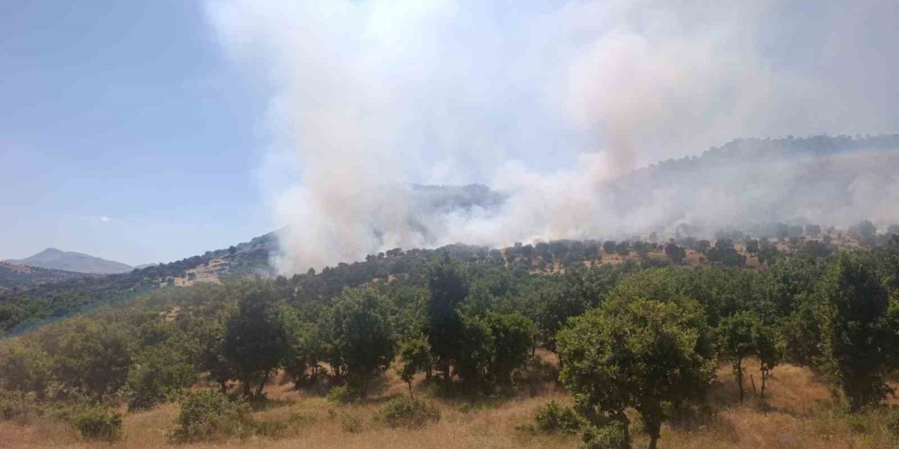 Diyarbakır’da ağaçlık alanda yangın çıktı