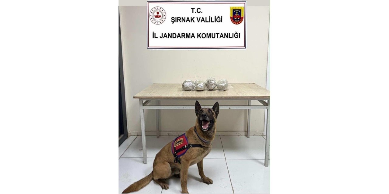 Şırnak’ta 16,7 milyon liralık uyuşturucu ve gümrük kaçağı malzeme ele geçirildi