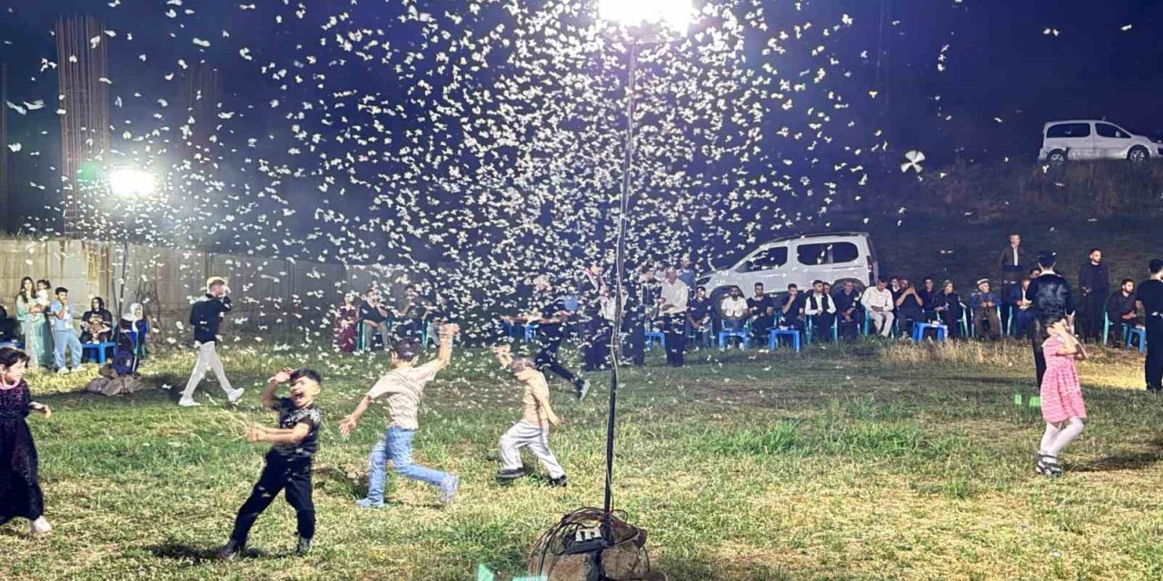 Düğünde davetliler oturdu, kelebekler adeta dans etti