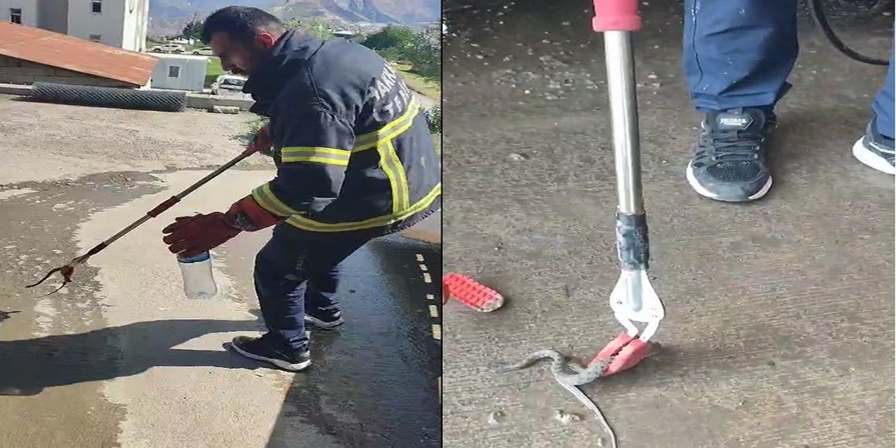 Hakkari'de aracın kaportasına giren yılan itfaiye ekiplerince çıkarıldı