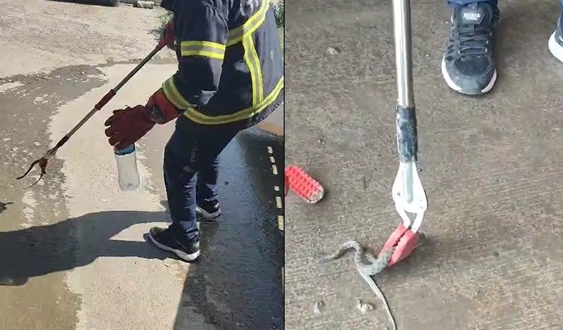 Hakkari'de aracın kaportasına giren yılan itfaiye ekiplerince çıkarıldı