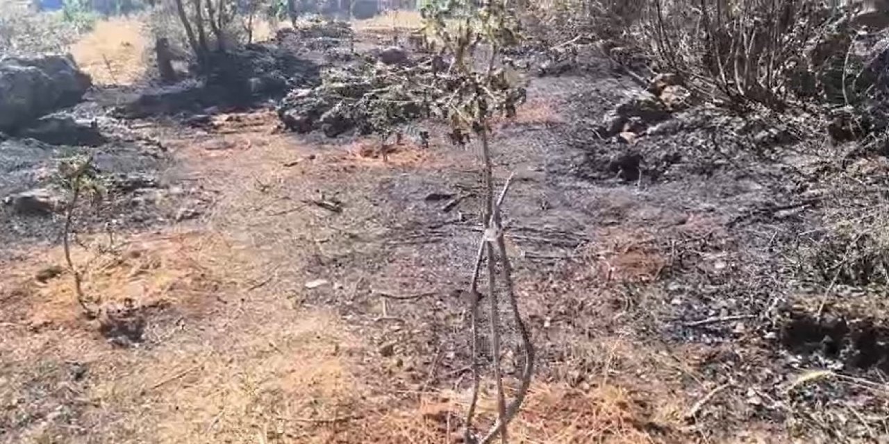 Dicle’de örtü yangını