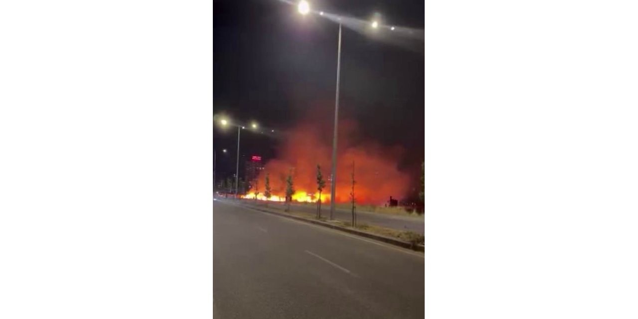 Diyarbakır'ın Kayapınar ilçesinde geceyi gündüze çeviren yangın