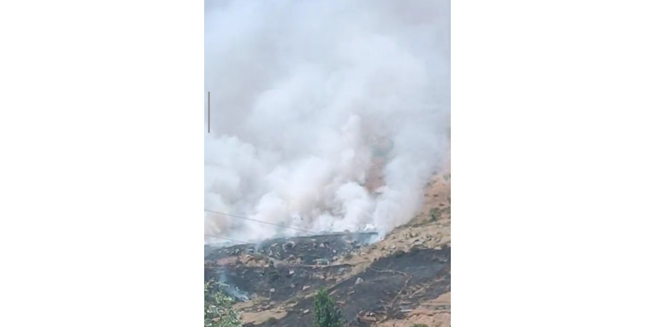 Bitlis’te dağlık alanda yangın çıktı