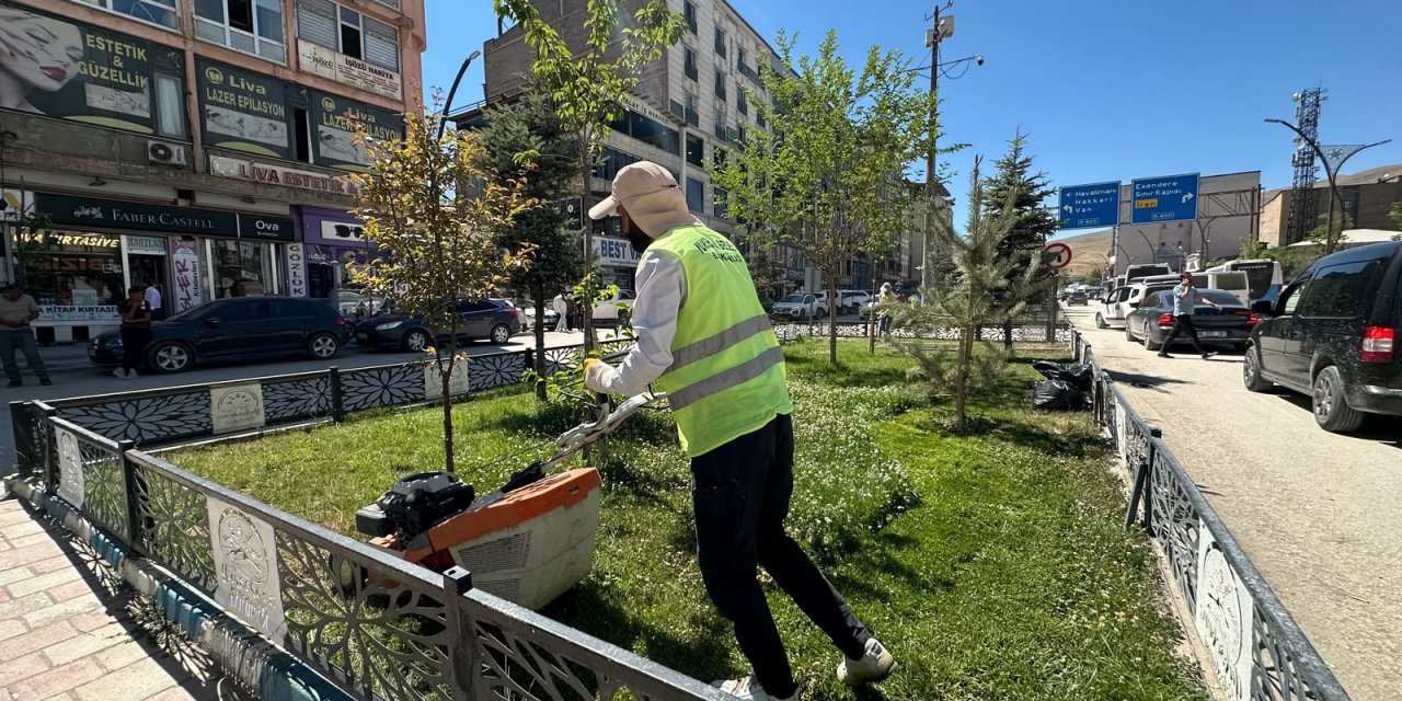 Yüksekova’da Cengiz Topel Caddesi’nde çim biçme çalışması