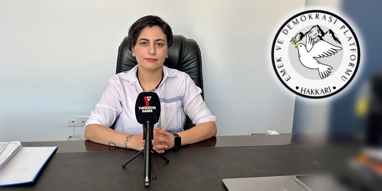 Hakkari ve ilçelerinin sorunları çalıştayda masaya yatırılacak