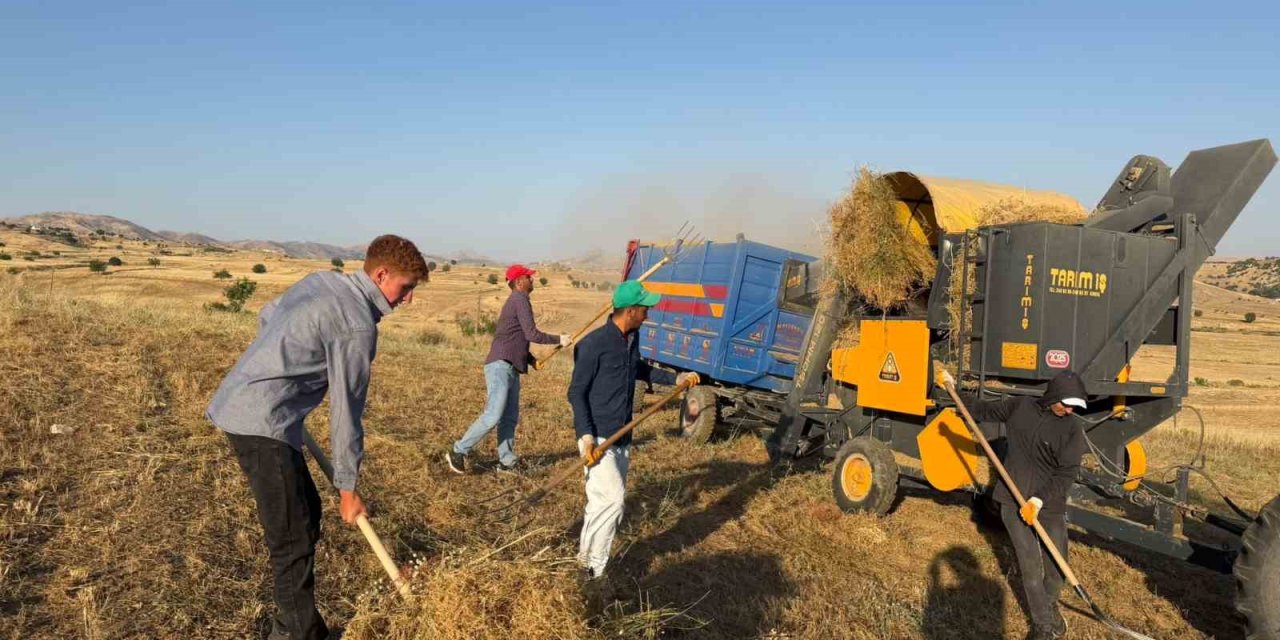 Diyarbakır’da mercimek hasadı başladı