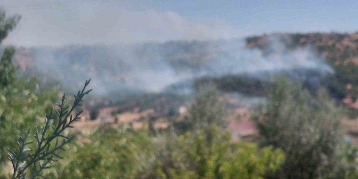 Dicle’de örtü yangını