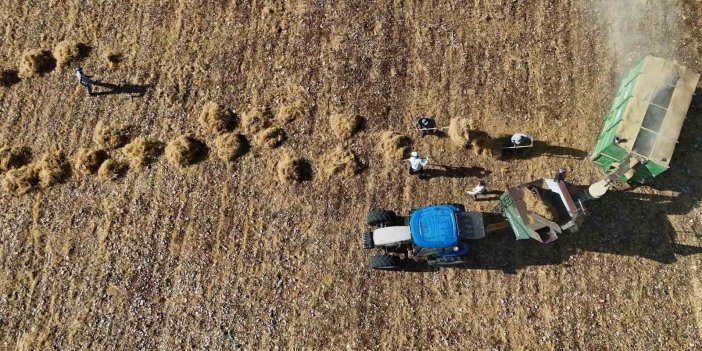Diyarbakır’da yüksek sıcaklığa rağmen hasat