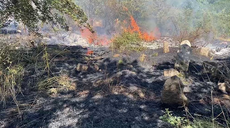 Bitlis’te çıkan yangınlar paniğe neden oldu