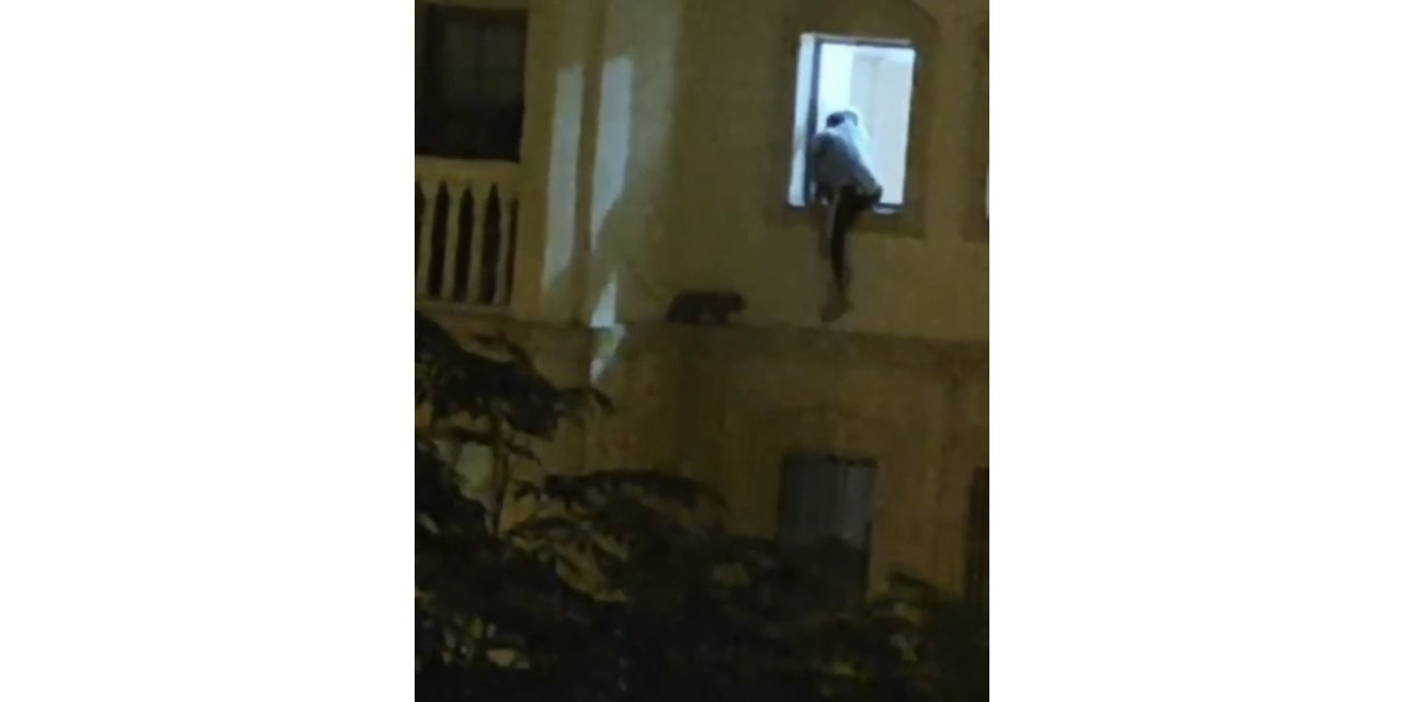 Mardin'in Nusaybin ilçesinde mahsur kalan kedi kurtarıldı