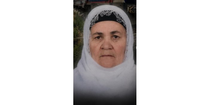 Bitlis'te trenin çarptığı yaşlı kadın hayatını kaybetti