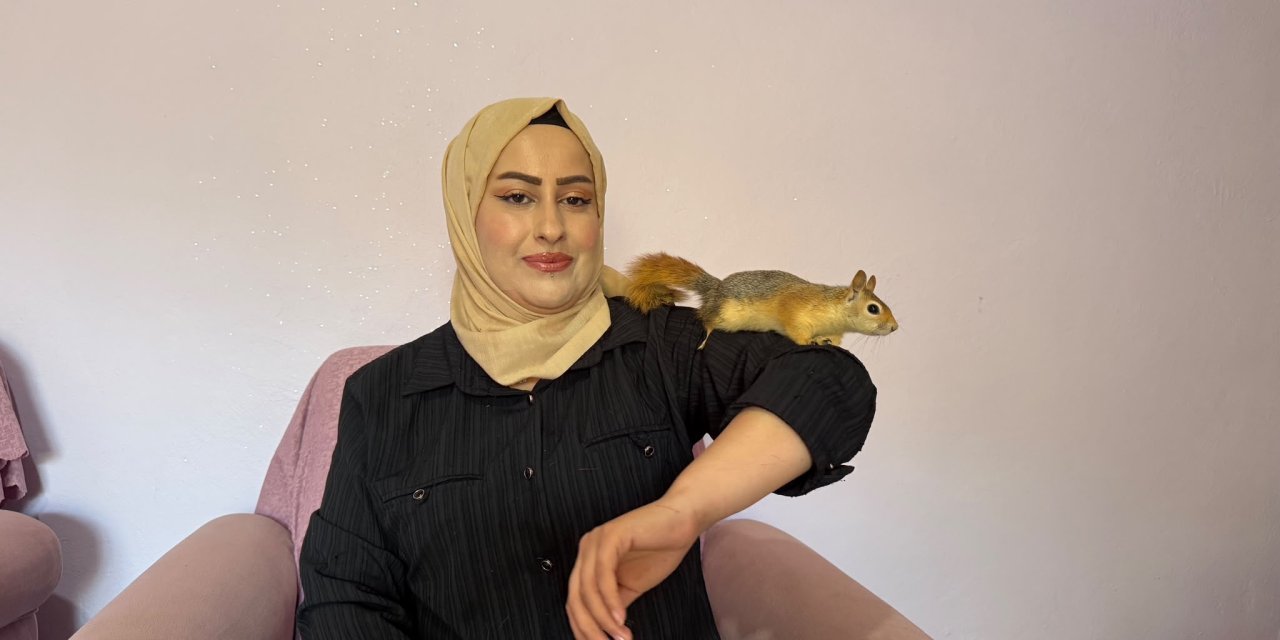 Ormanda bulduğu sincap yıllardır yanından ayrılmıyor