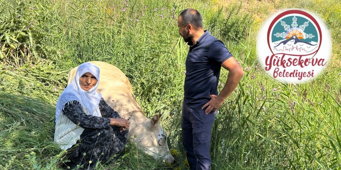 Yüksekova Belediyesi, Özbek ailesine destek vereceğini açıkladı