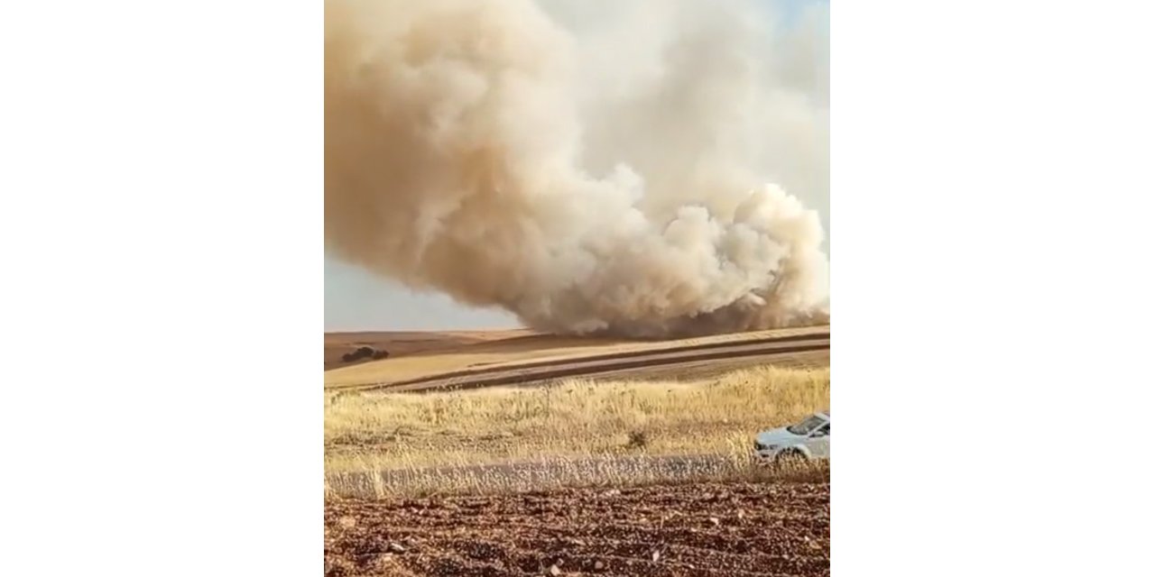 Mardin’de anız yangını çıktı