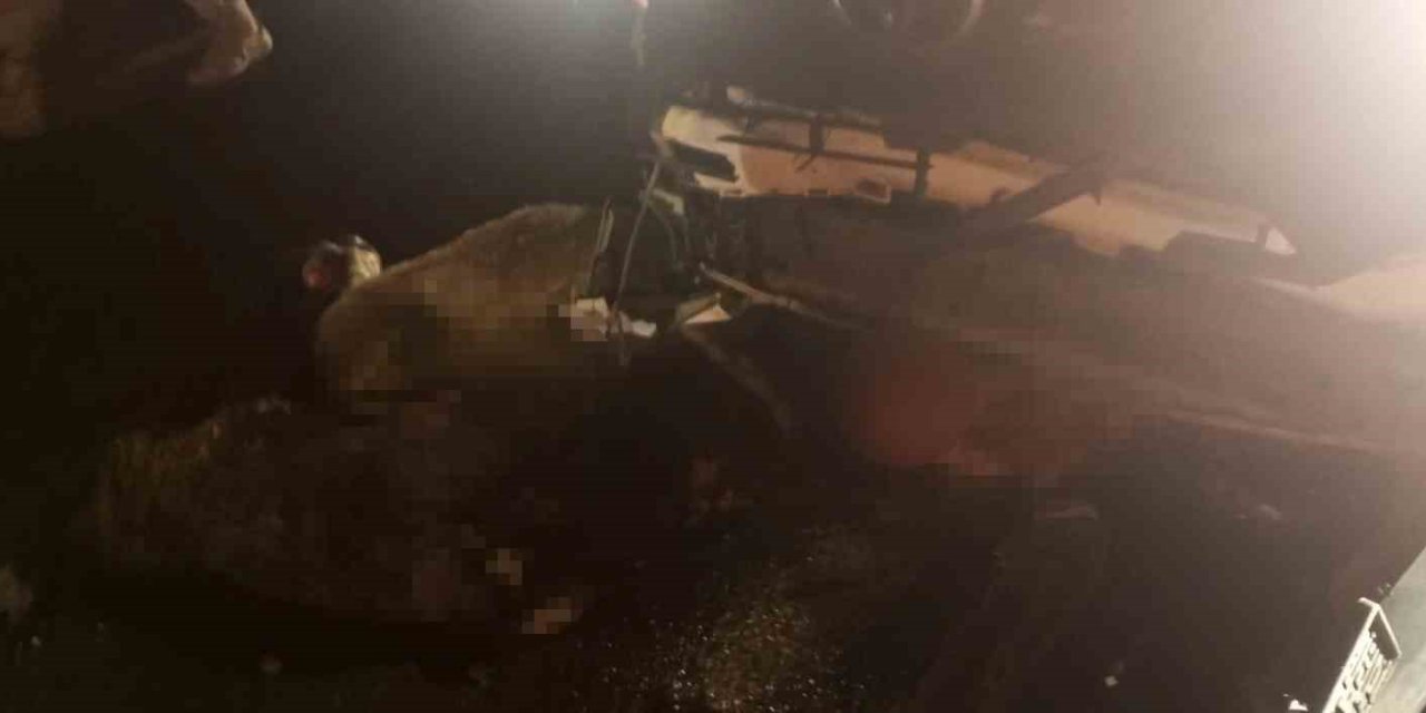 Diyarbakır’da aracın daldığı sürüdeki 15 koyun öldü