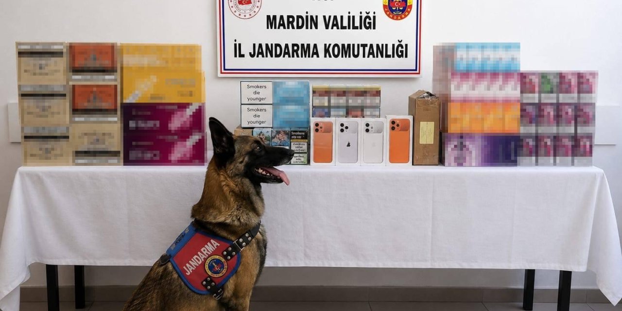 Mardin’de kaçak tütün operasyonunda 2 kişi gözaltına alındı