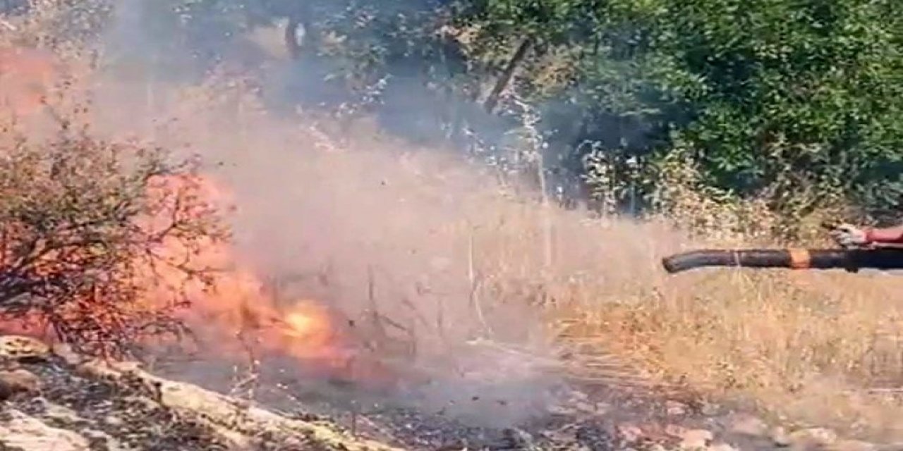 Diyarbakır’da örtü ve orman yangını çıktı
