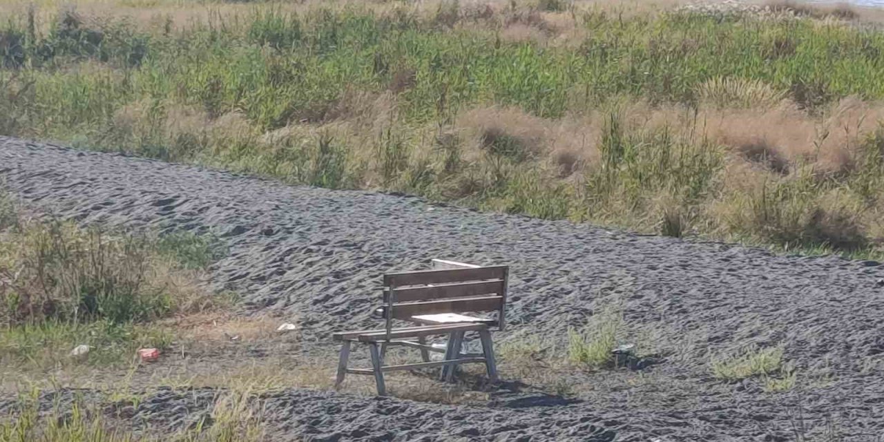 Van sahil yolundaki parkın tahrip edilmesine tepki