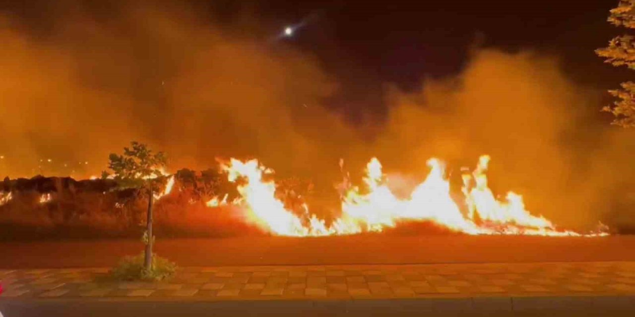 Diyarbakır’da alevler yerleşim yerine ulaşmadan söndürüldü