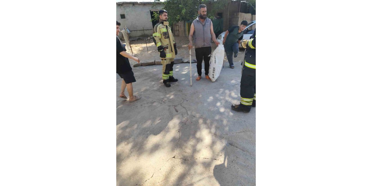 Yatak odasından çıkan yılan korkuttu