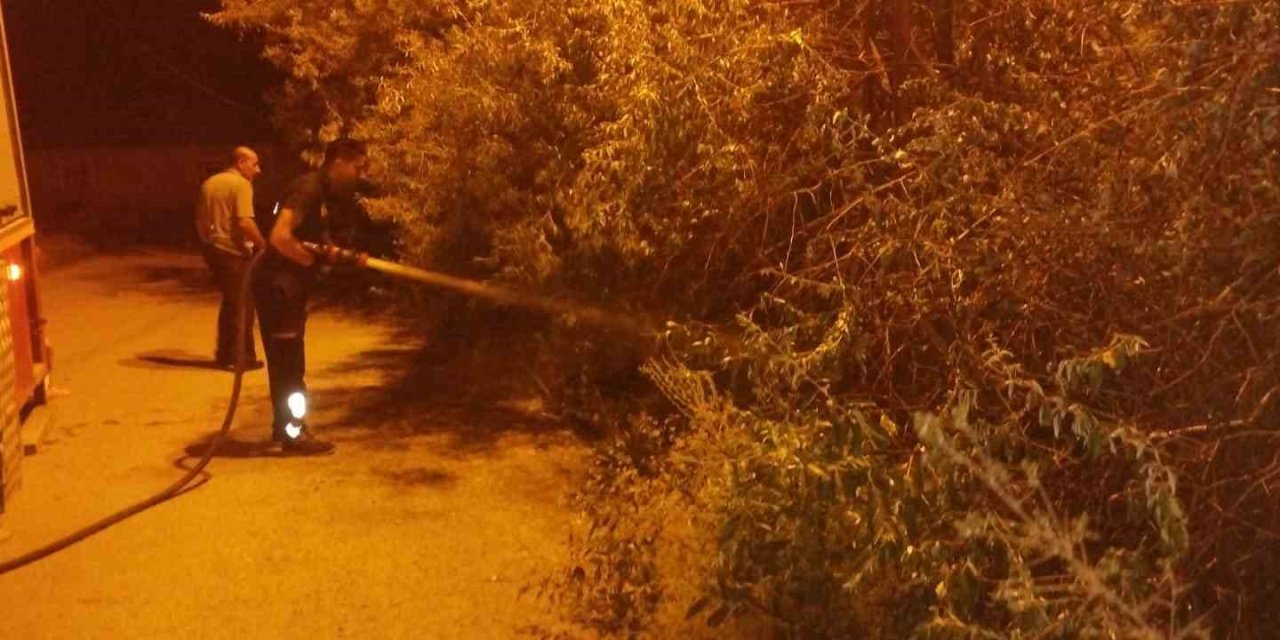Van’da bahçe yangını