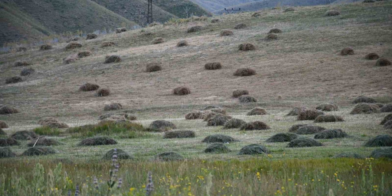 Şırnak’ta kış hazırlığı başladı