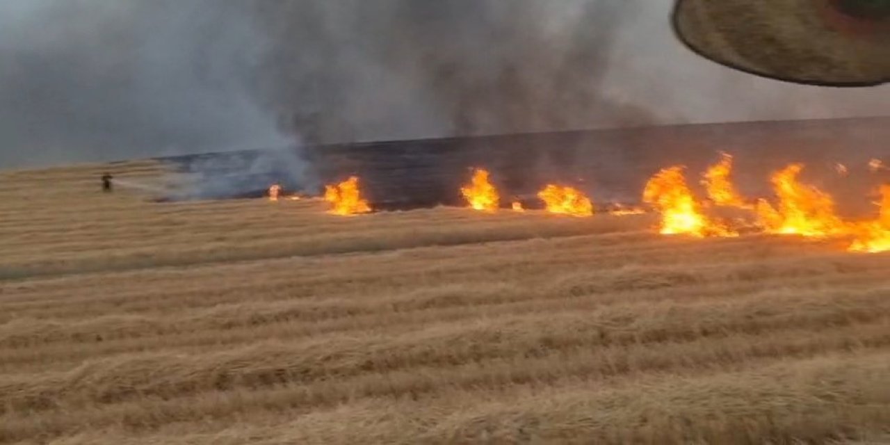 Diyarbakır’da 5 bin dönüm arazi yangın