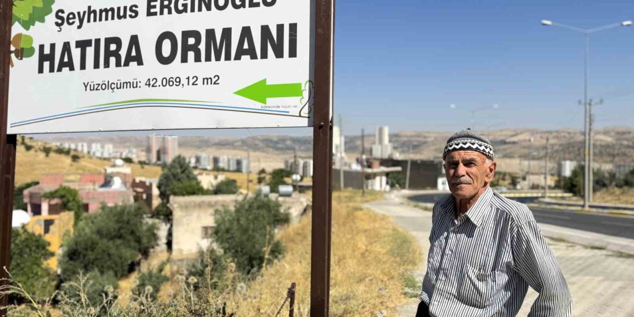 31 yılda 25 bin ağaç dikerek, kurak araziyi oksijen sahası yaptı